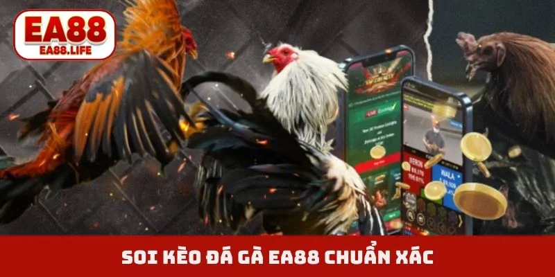 Soi kèo đá gà EA88 chuẩn xác